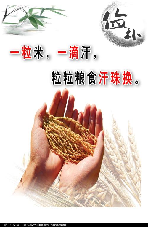 得克萨斯A&M大学商业管理文凭证书